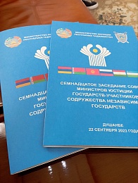 Наталья Борисенко выступила на заседании Совета министров юстиции стран СНГ